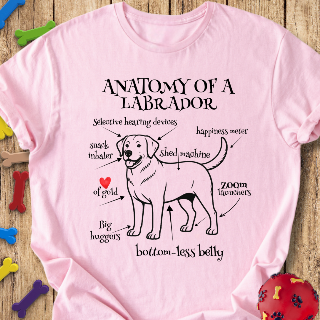 Anatomy of a Labrador T-Shirt