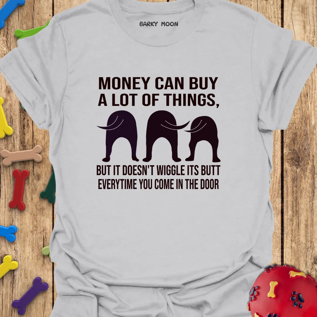 Money Can Buy A Lot Of Things T-Shirt