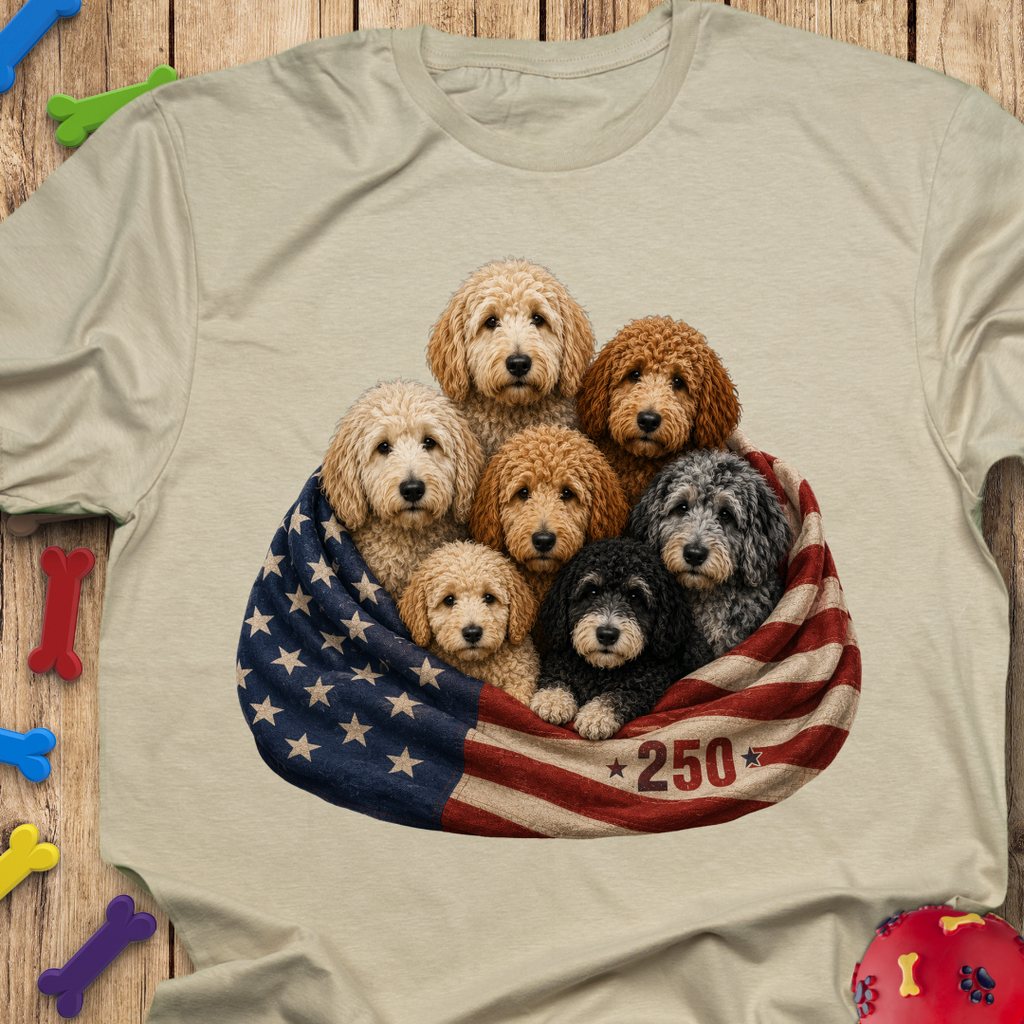 250 Blanket Flag T-Shirt