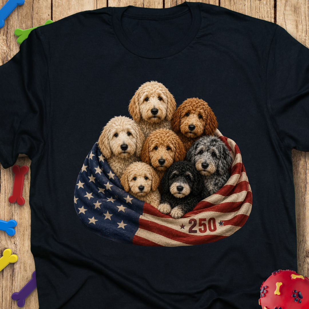 250 Blanket Flag T-Shirt