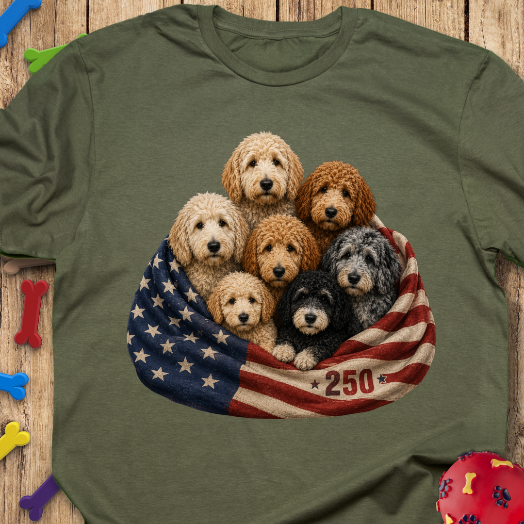 250 Blanket Flag T-Shirt