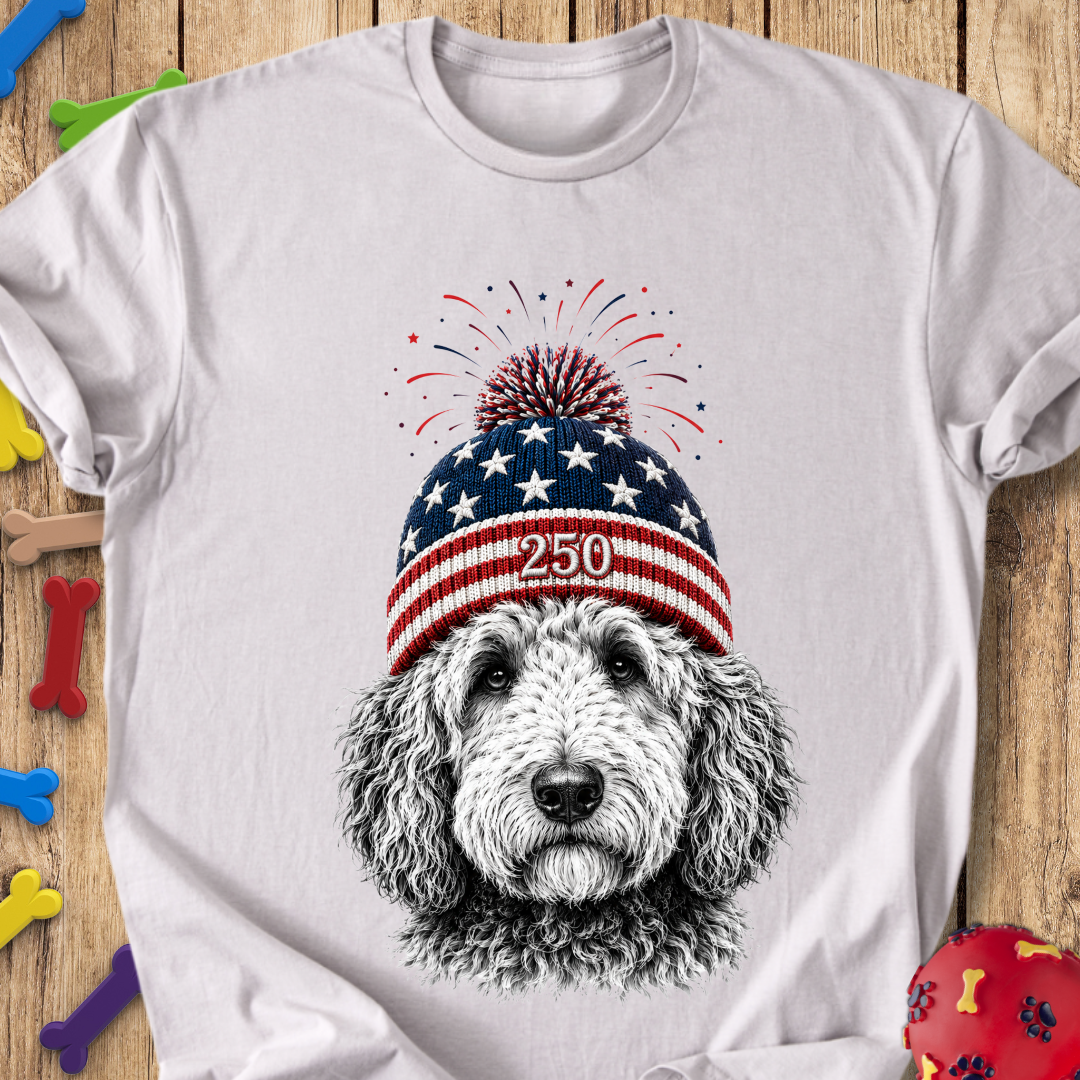250 Beanie T-Shirt