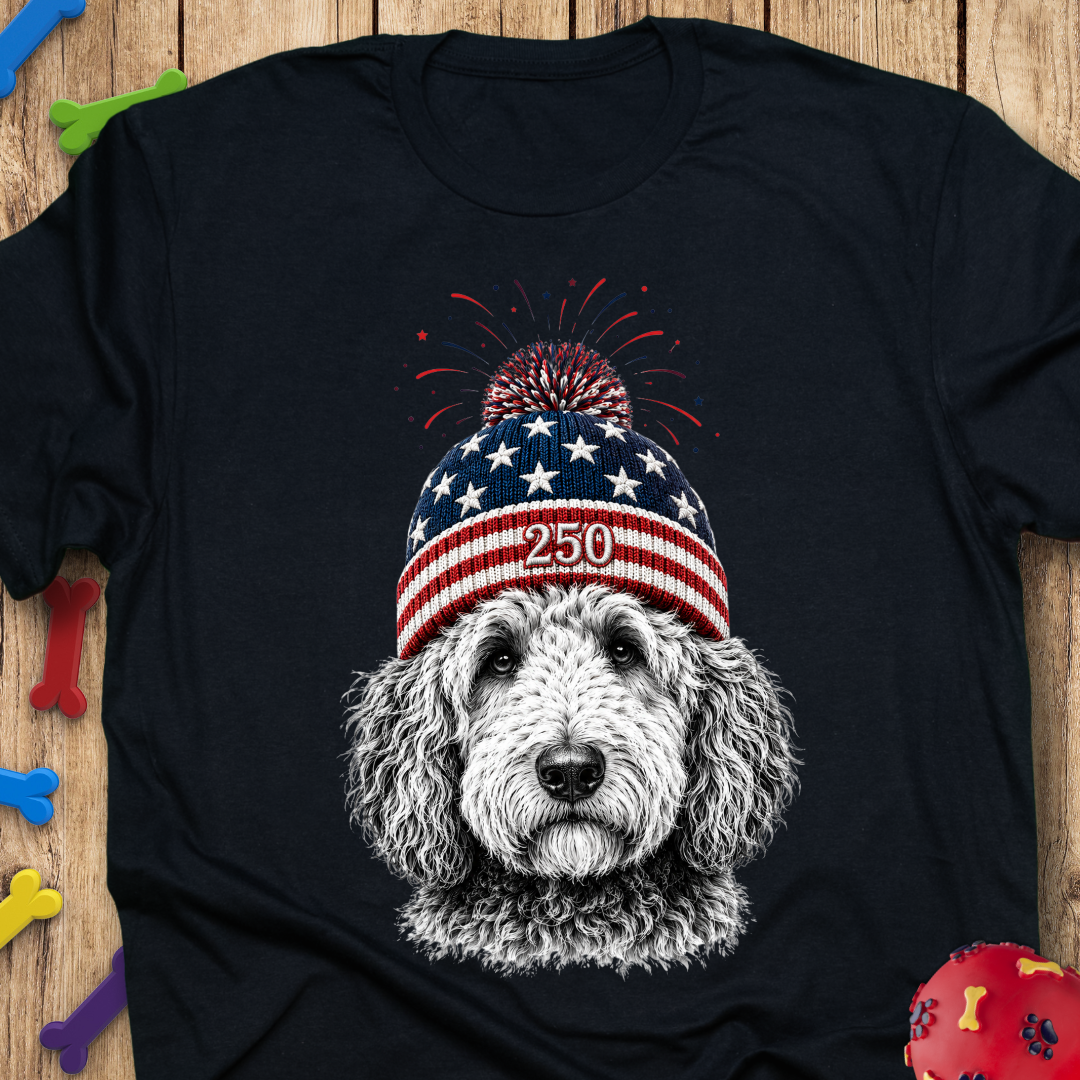250 Beanie T-Shirt