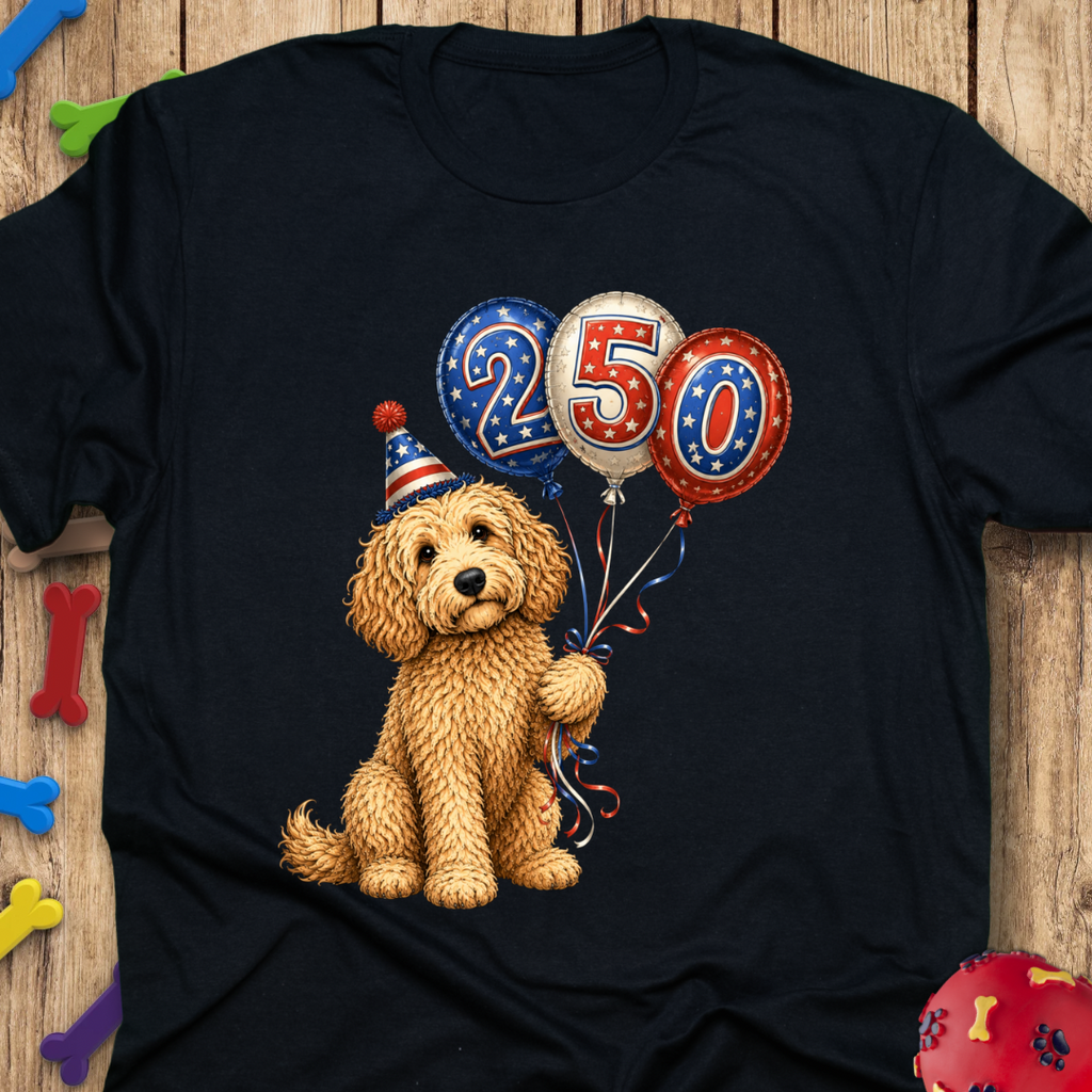 250 Balloons T-Shirt
