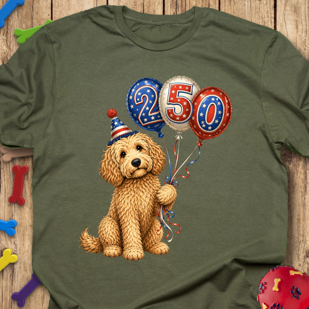 250 Balloons T-Shirt