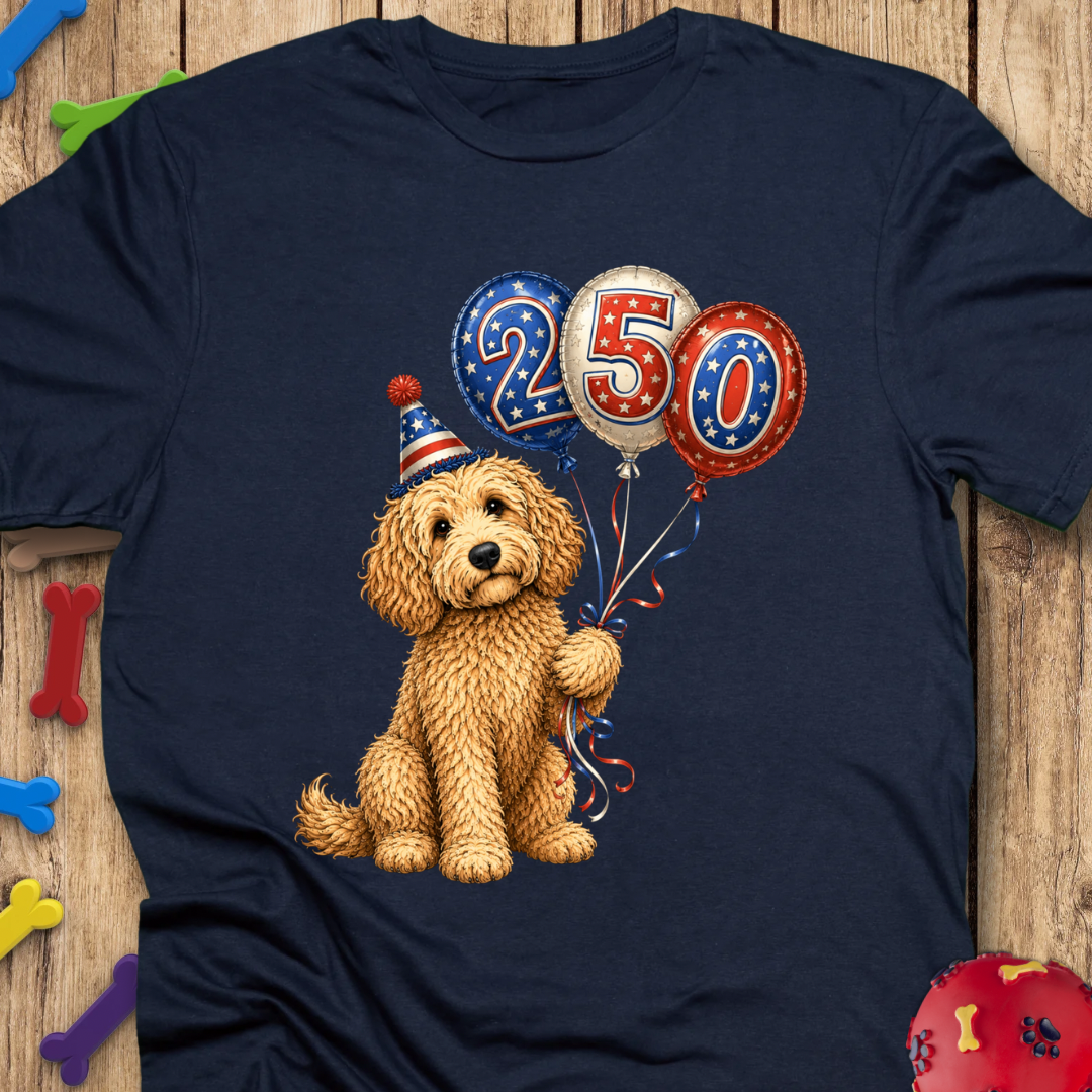 250 Balloons T-Shirt