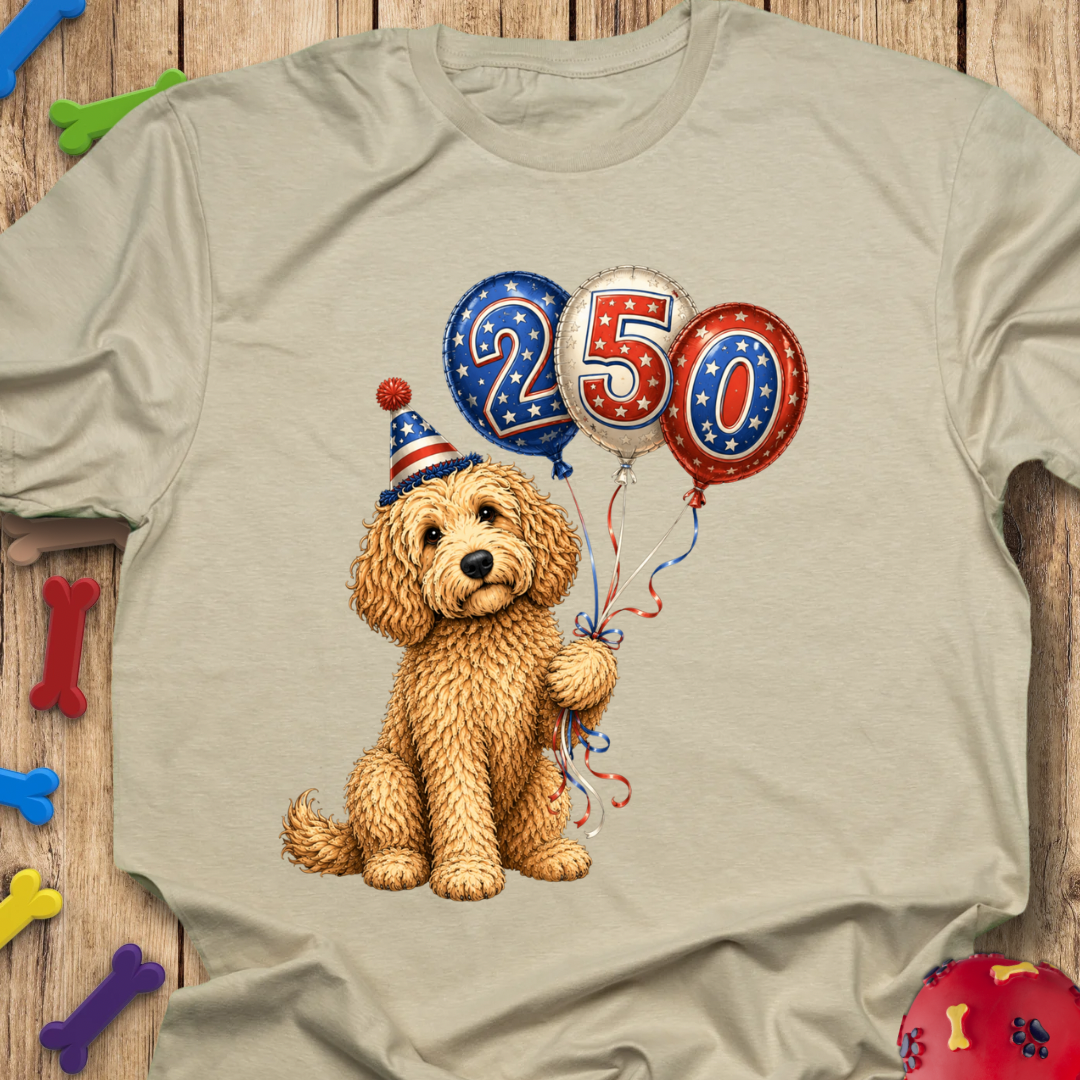 250 Balloons T-Shirt