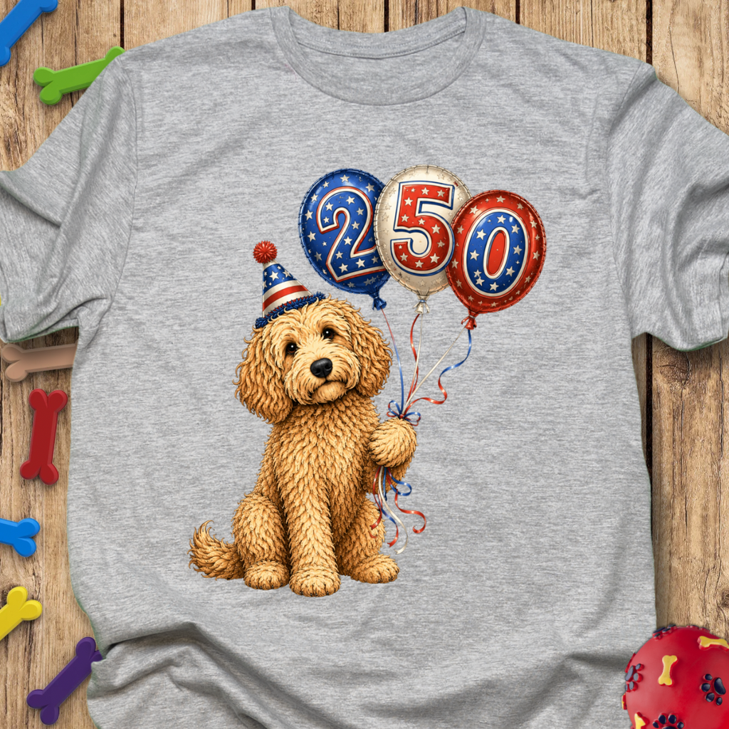 250 Balloons T-Shirt