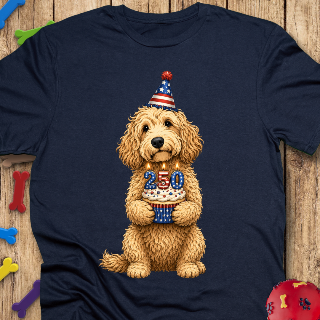 250 Cake T-Shirt