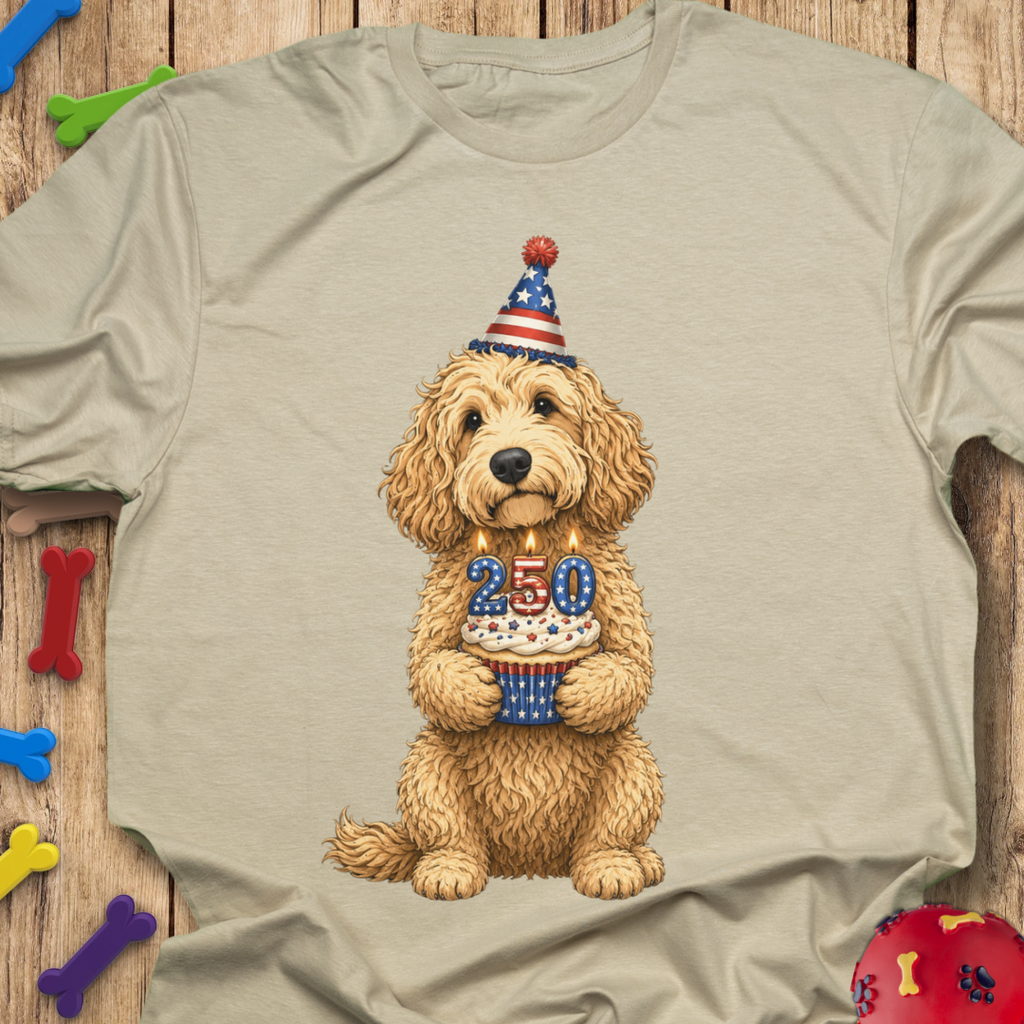 250 Cake T-Shirt