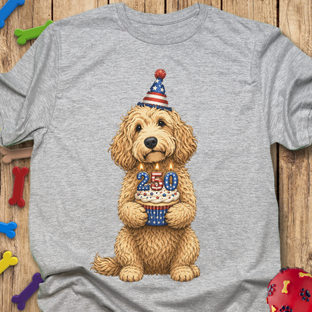 250 Cake T-Shirt