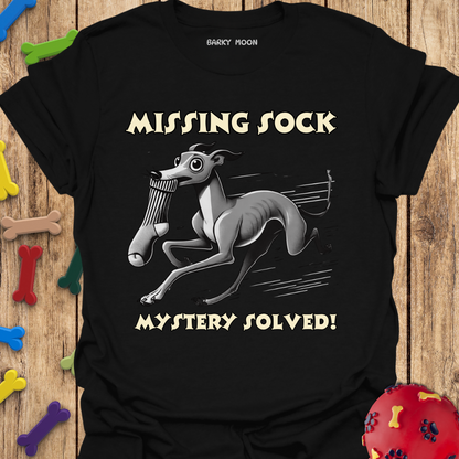 Missing Sock T-Shirt
