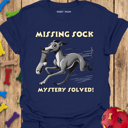 Missing Sock T-Shirt