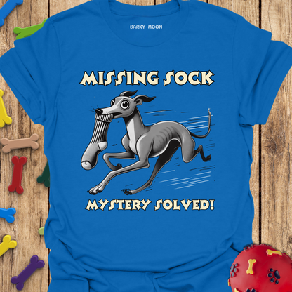 Missing Sock T-Shirt