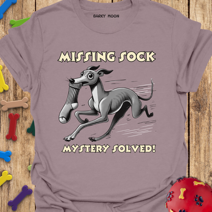 Missing Sock T-Shirt