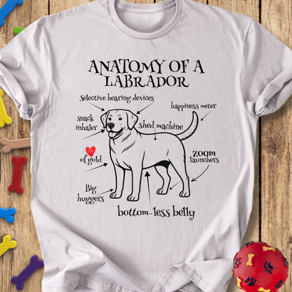 Anatomy of a Labrador T-Shirt