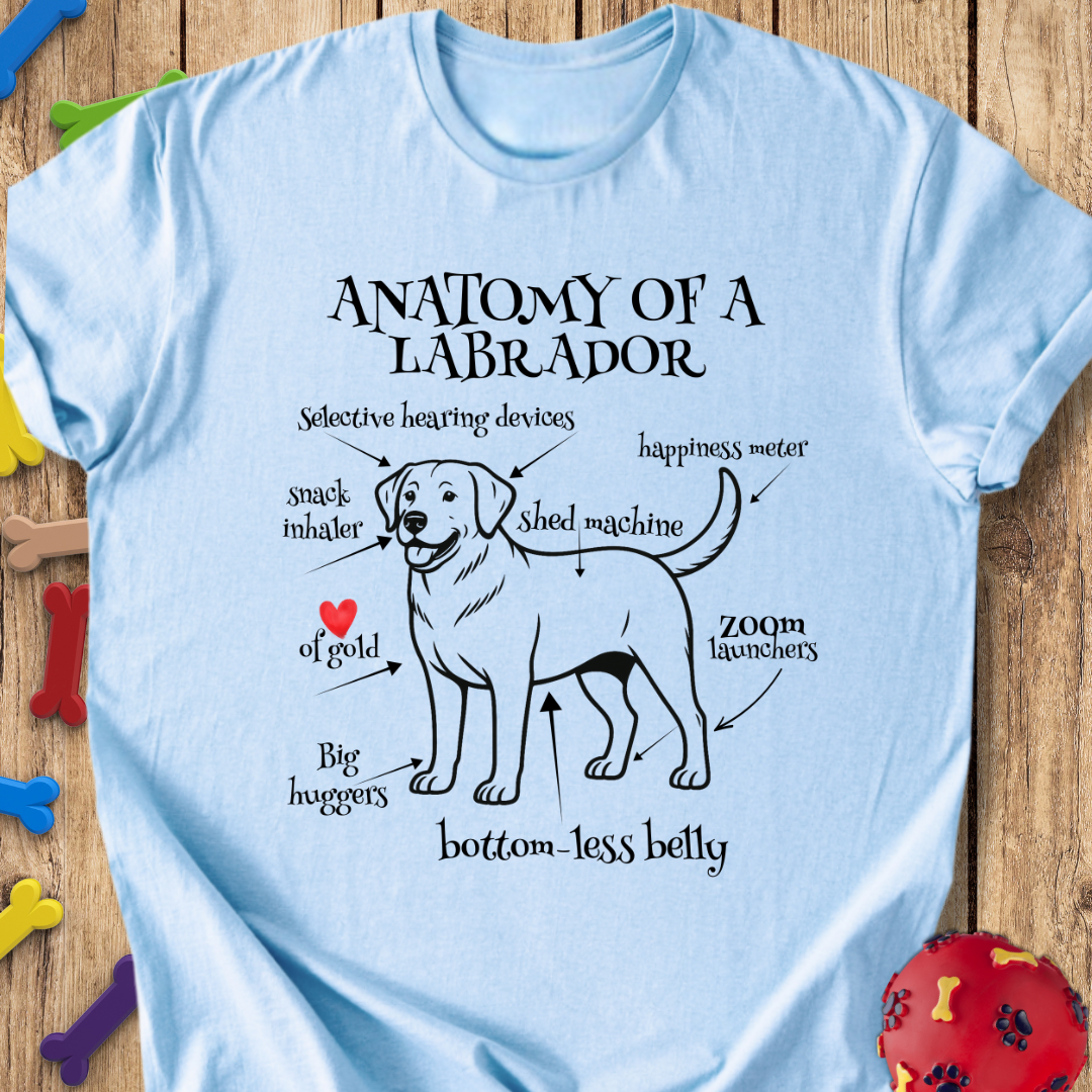 Anatomy of a Labrador T-Shirt