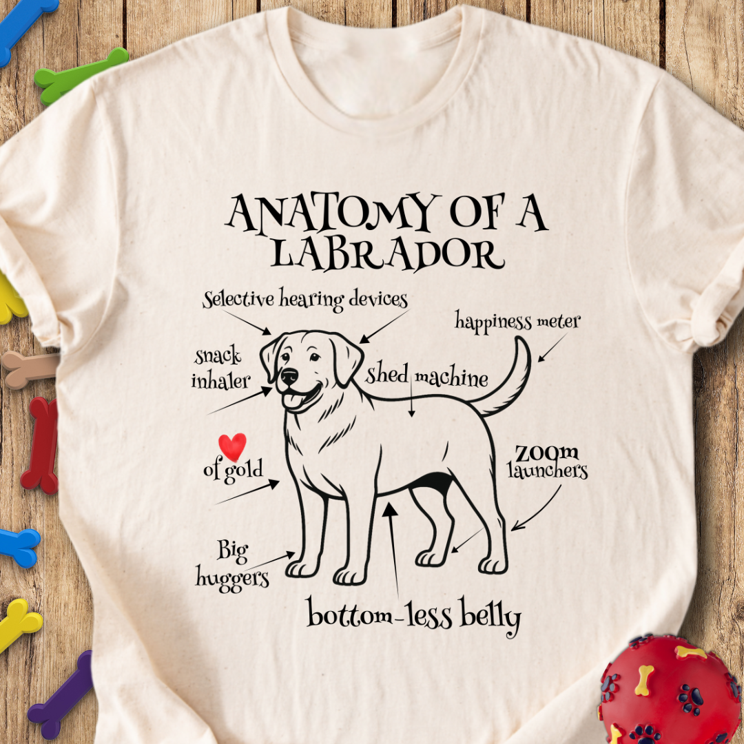 Anatomy of a Labrador T-Shirt