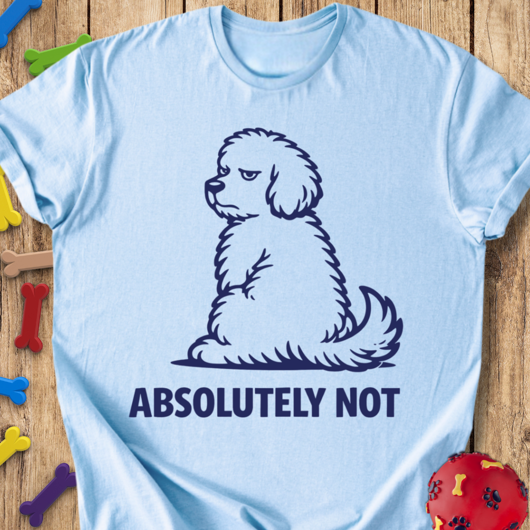 Absolutely Not T-Shirt