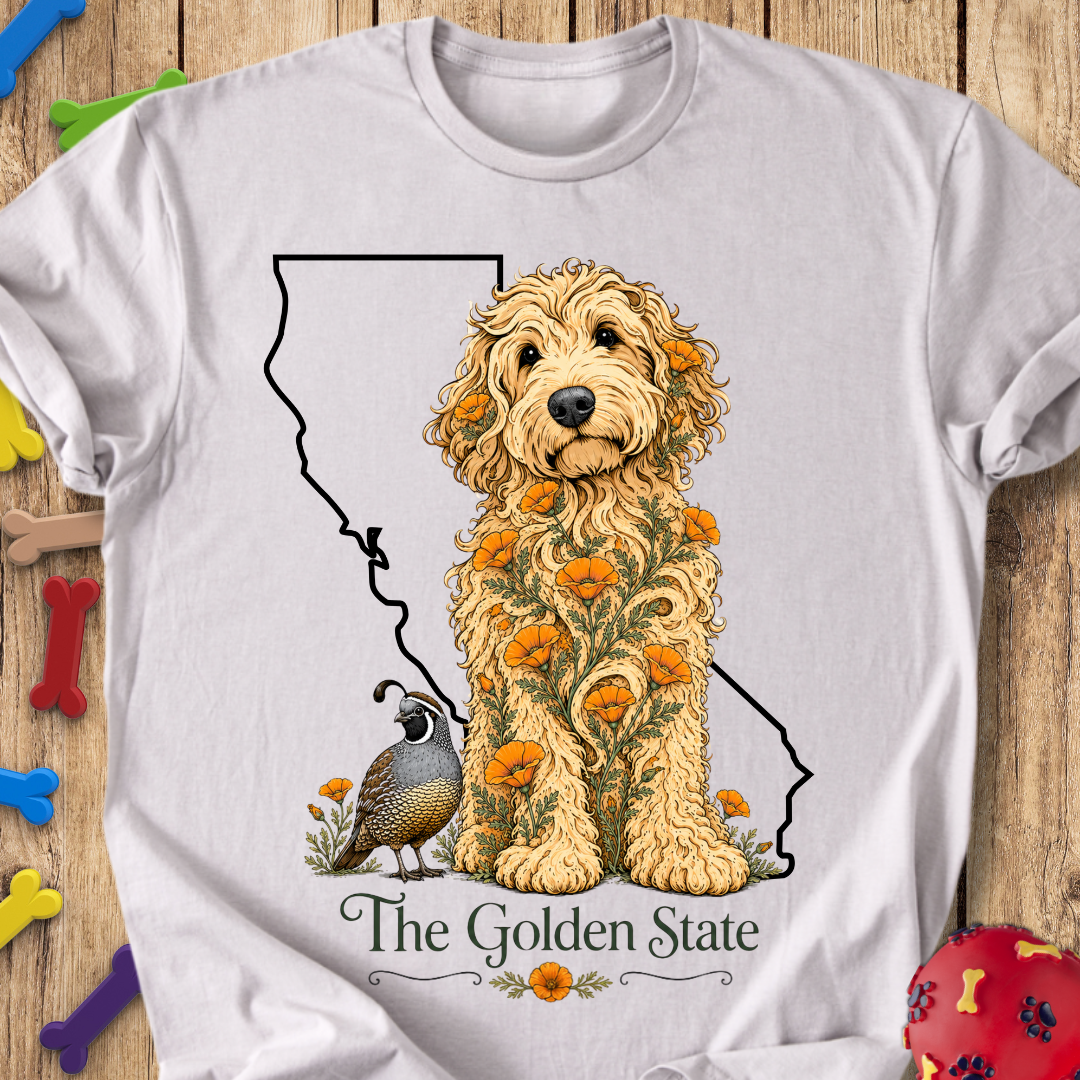 California  Life Goldendoodle