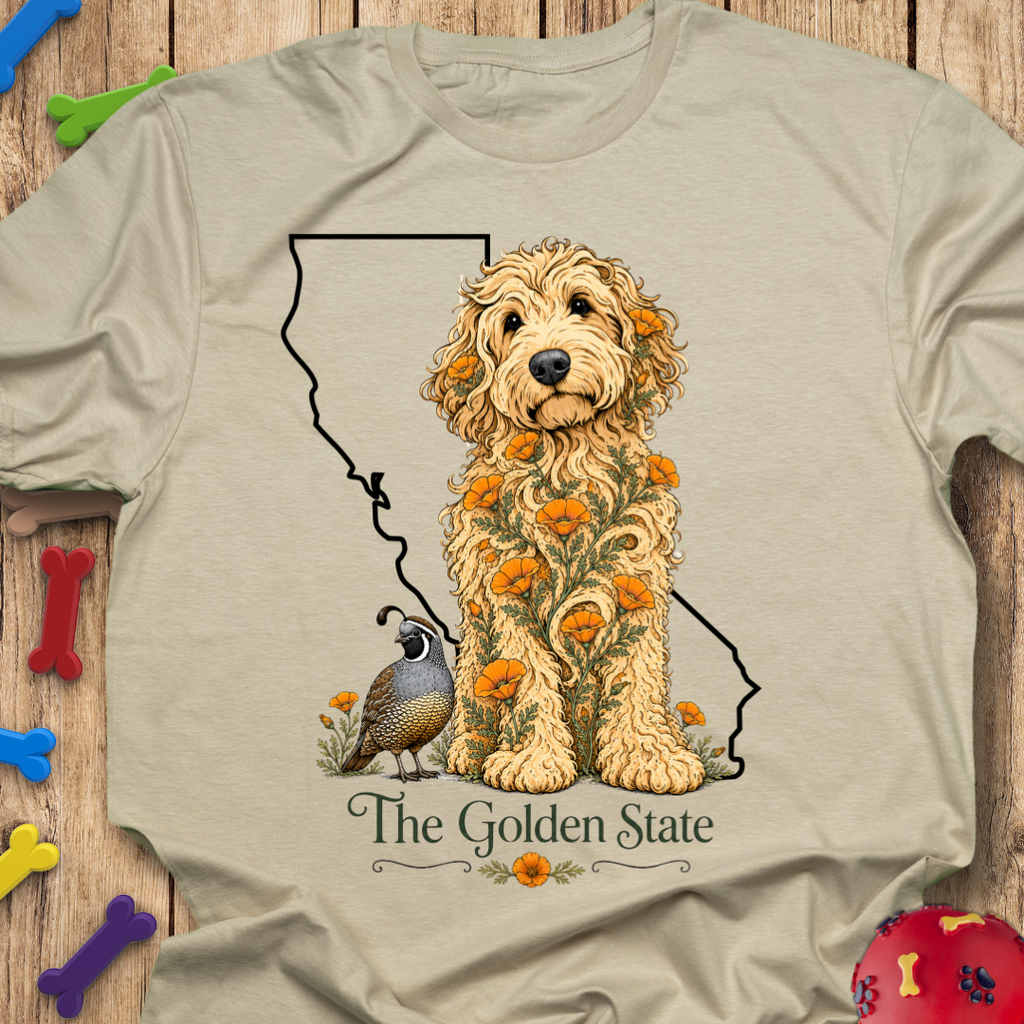 California  Life Goldendoodle