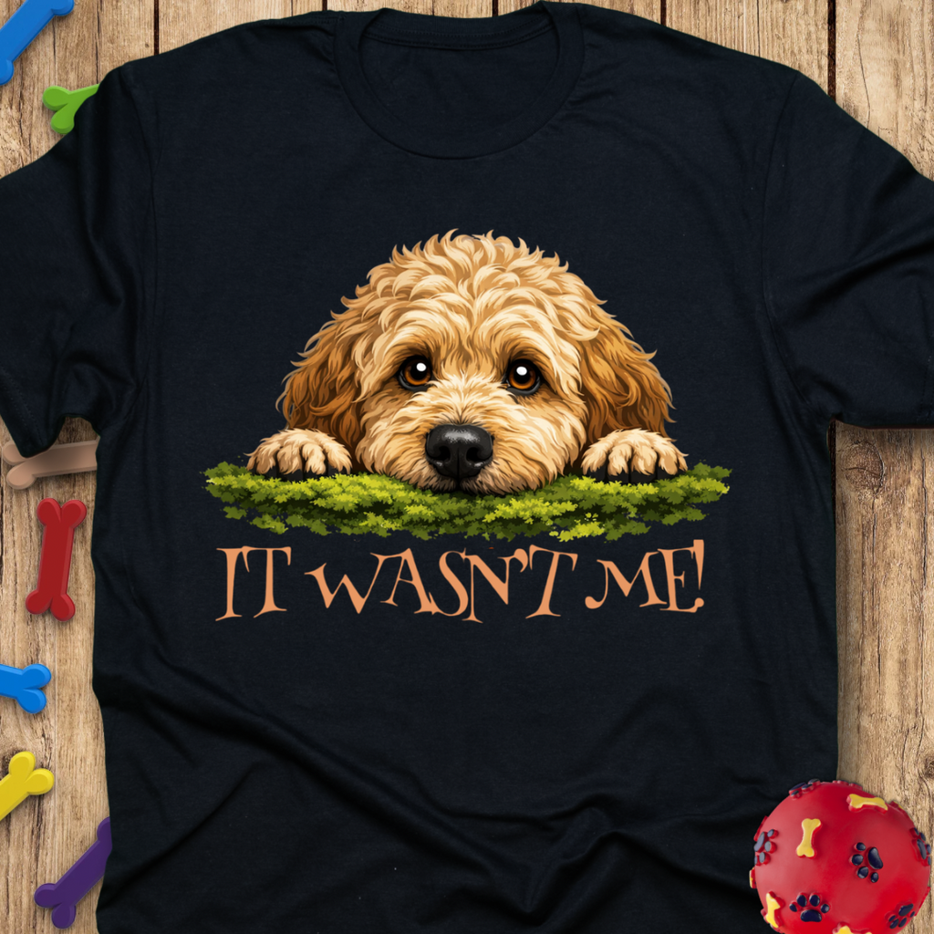It Wasn’t Me! T-Shirt