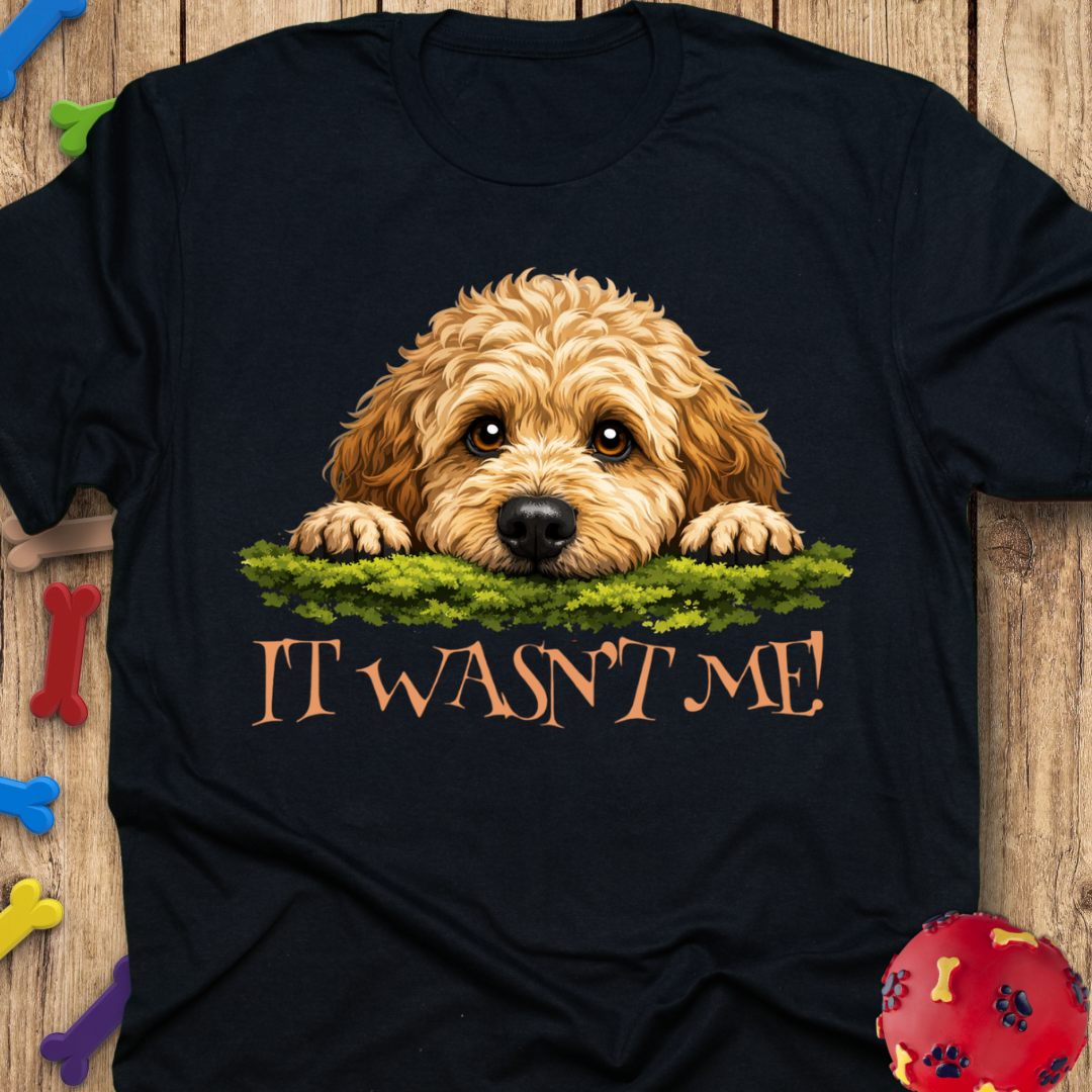 It Wasn’t Me! T-Shirt