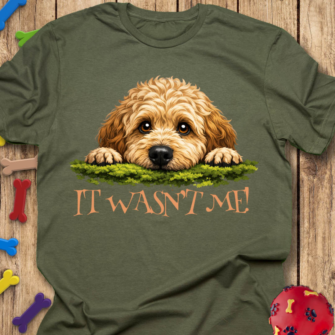 It Wasn’t Me! T-Shirt
