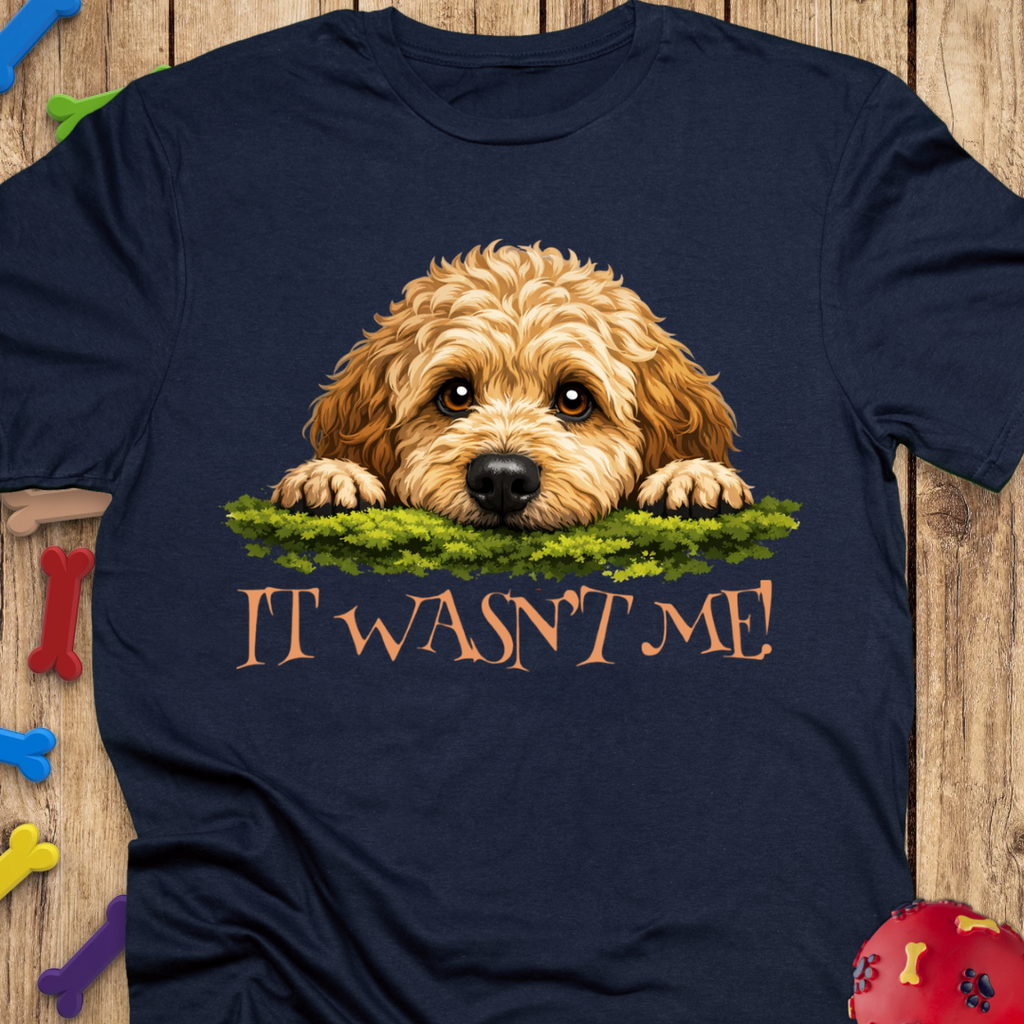It Wasn’t Me! T-Shirt