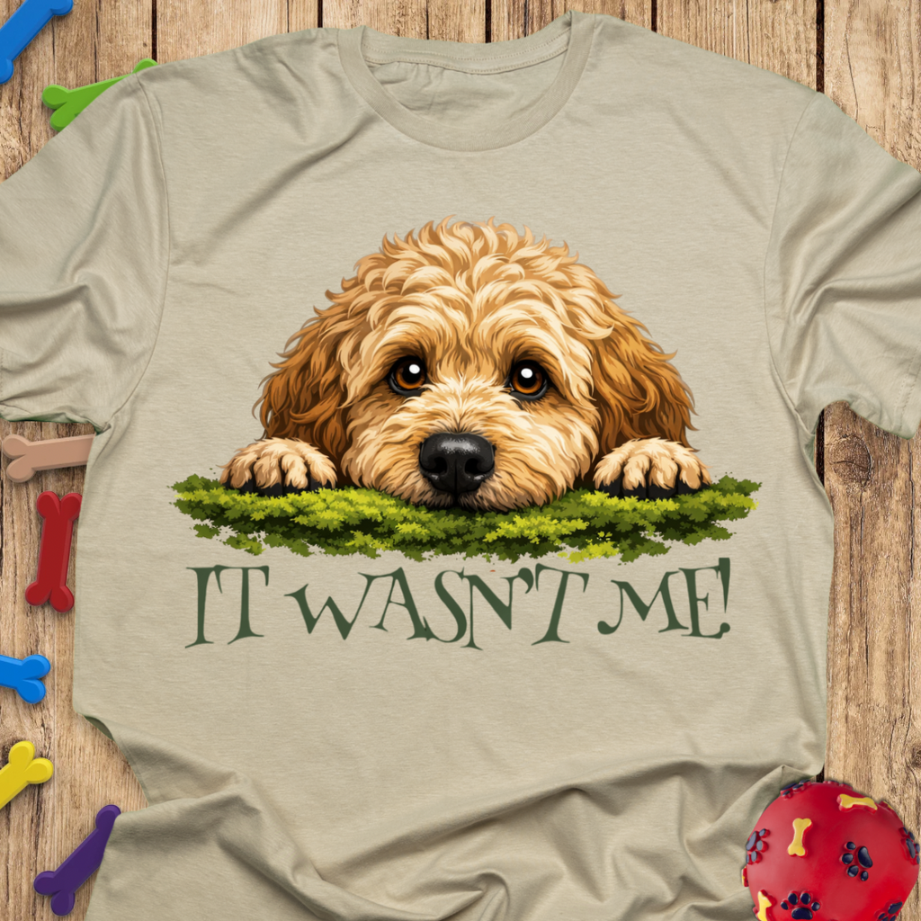 It Wasn’t Me! T-Shirt