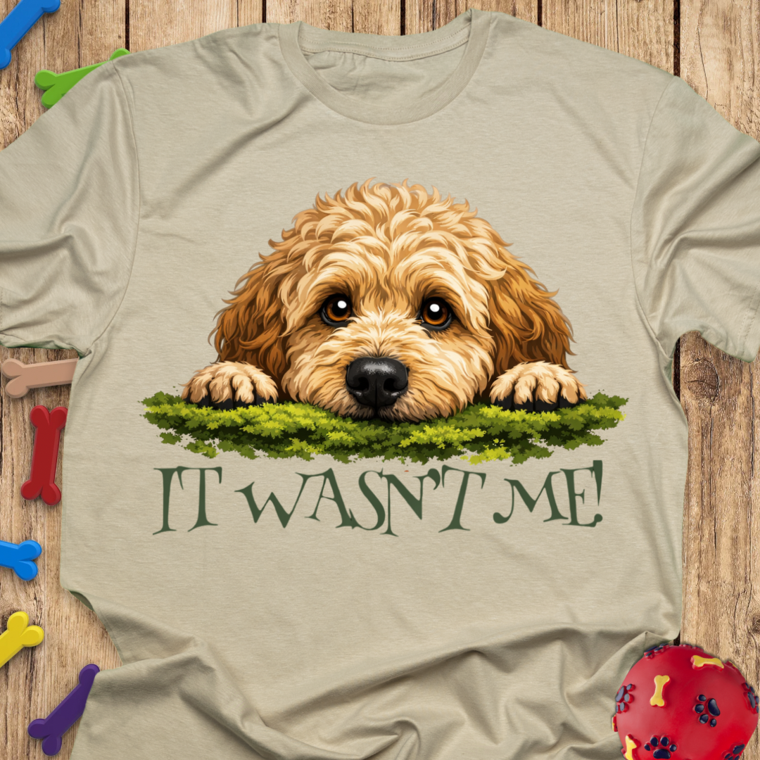 It Wasn’t Me! T-Shirt