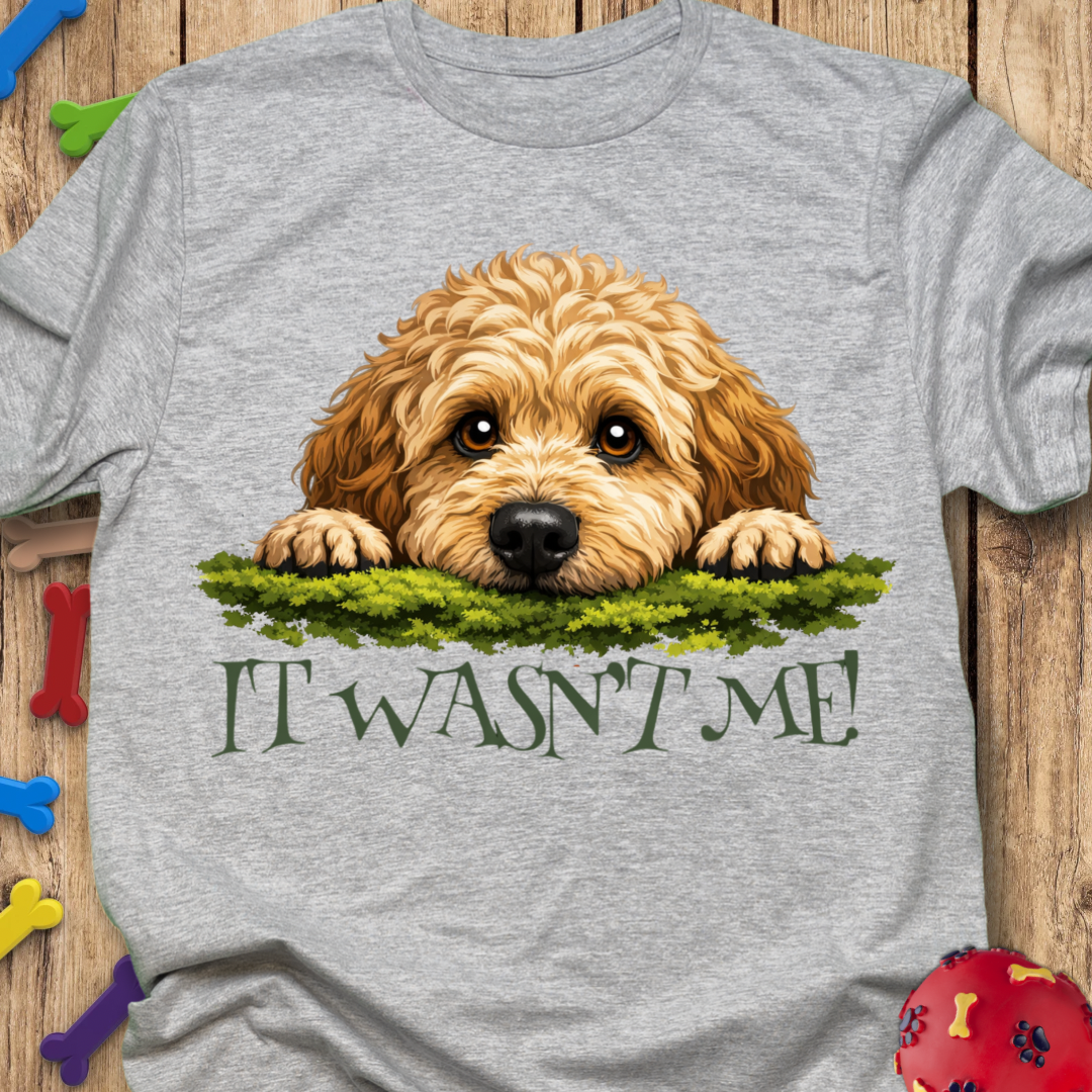 It Wasn’t Me! T-Shirt