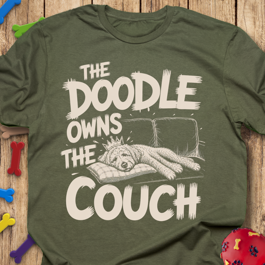 Owns The Couch T-Shirt