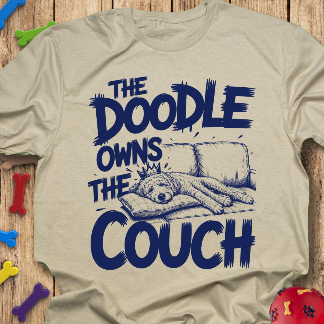 Owns The Couch T-Shirt