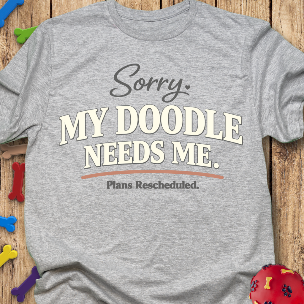 Plans Rescheduled T-Shirt