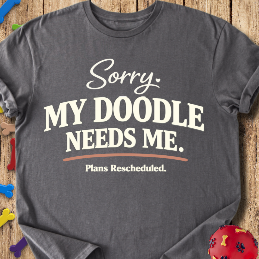 Plans Rescheduled T-Shirt